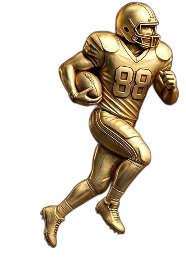 Signawin NFL